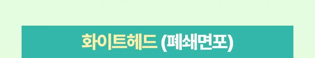[온라인단독|진정SET] 브링그린 티트리 시카 수딩 토너&크림 세트 상세페이지 21